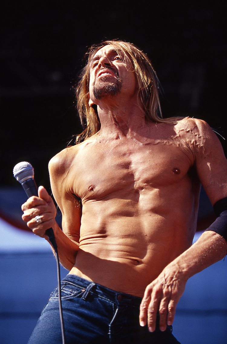 _1_Iggy